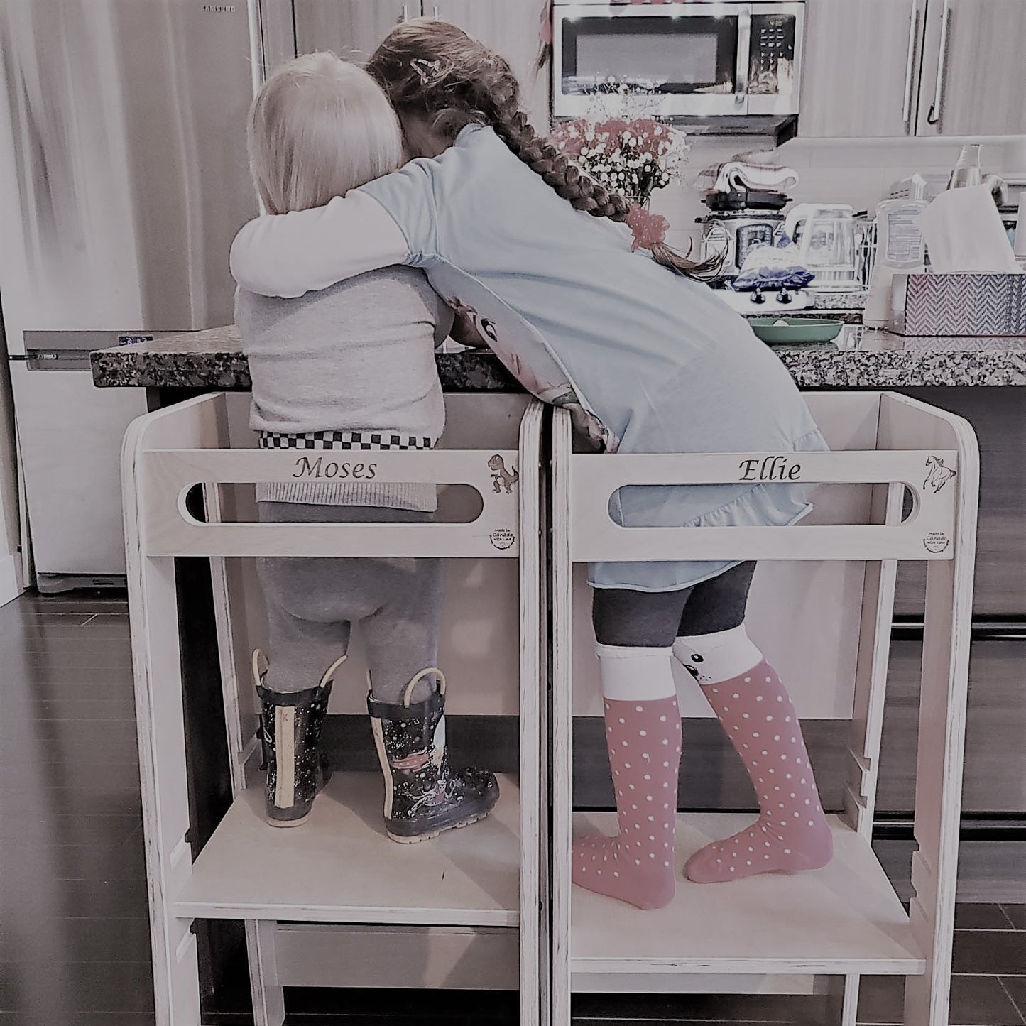 Learning Tower / Kitchen Helper