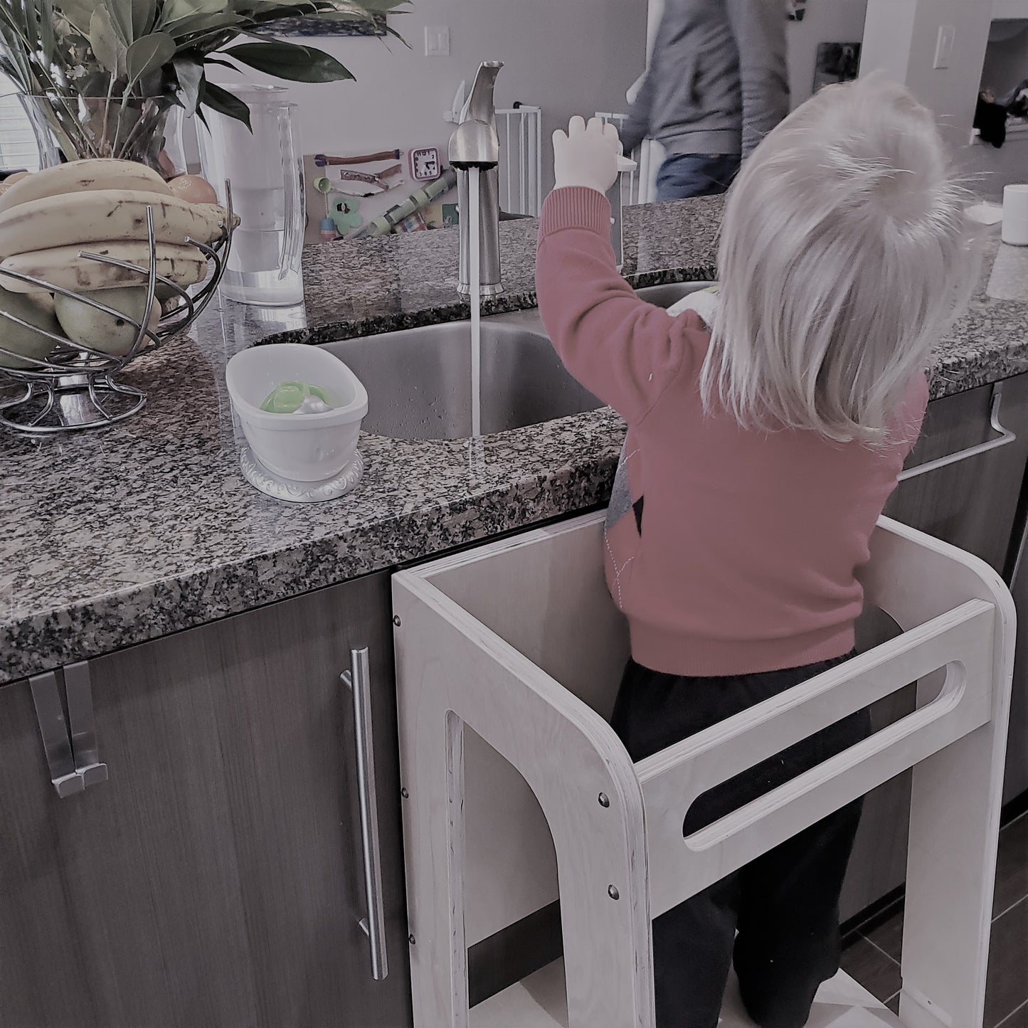 Learning Tower / Kitchen Helper