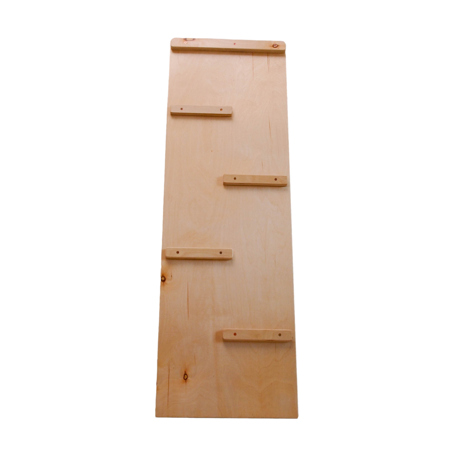 Pikler Ramp / Slide