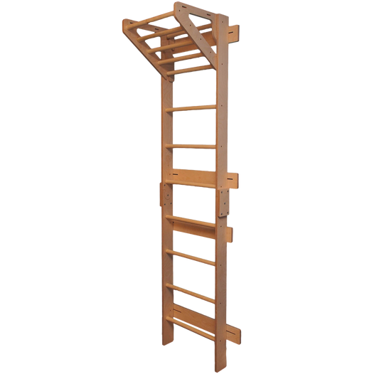 Swedish Climbing Ladder with Optional Gymnastics Attachment