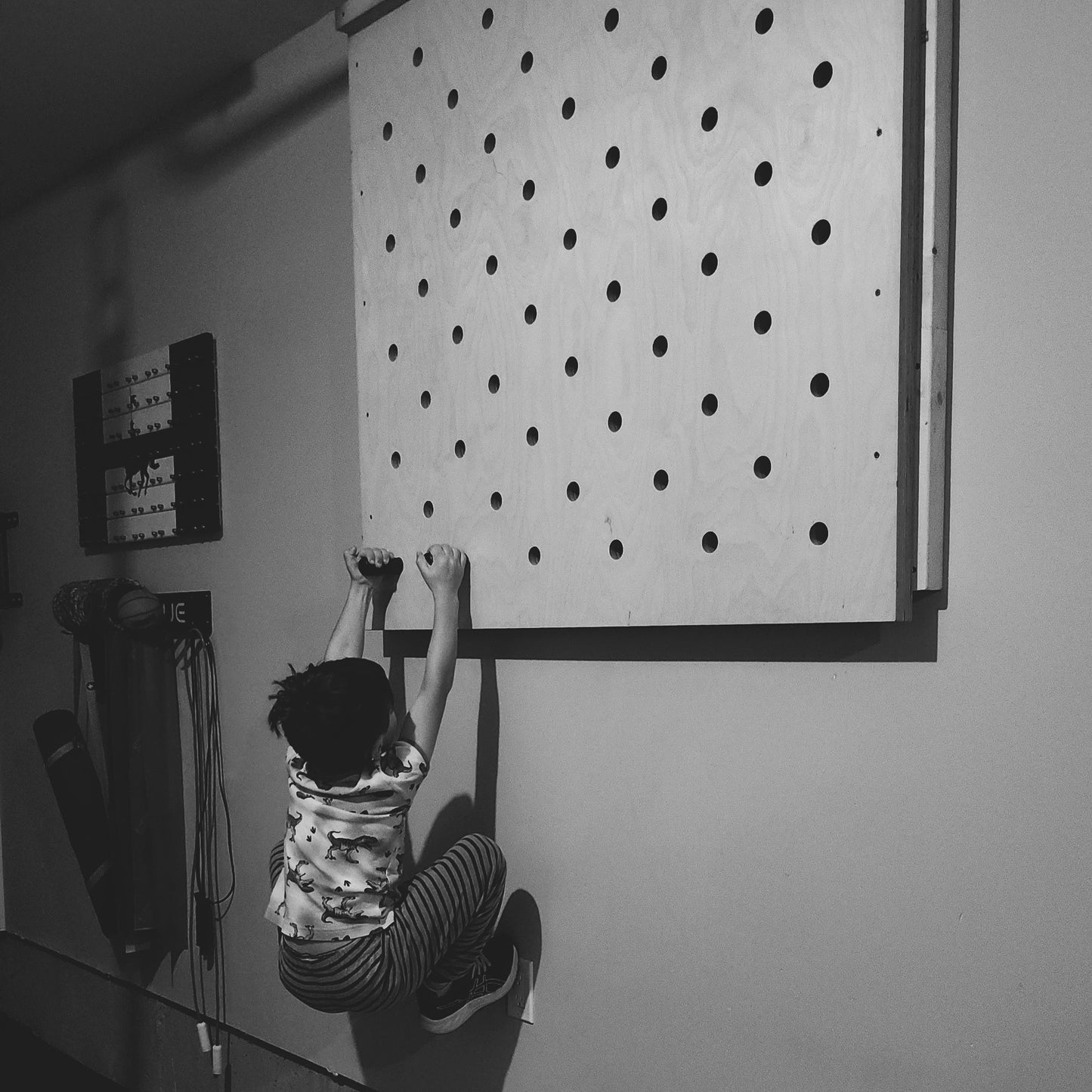 Climbing Pegboard