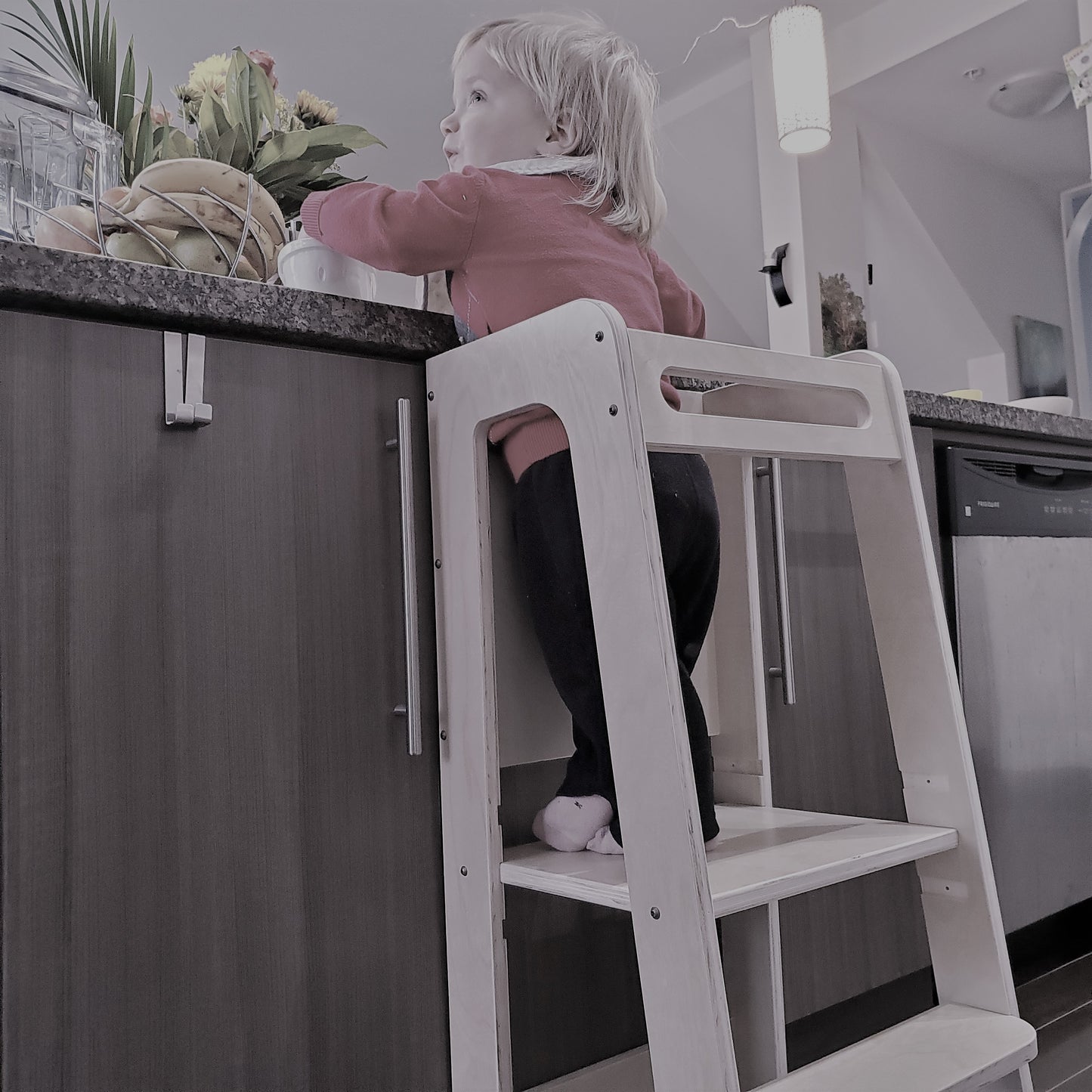 Learning Tower / Kitchen Helper