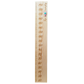 Growth Chart